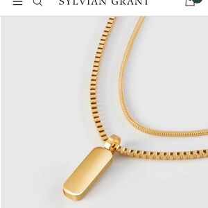 NEW Sylvian Grant minimal pendant necklace duo.